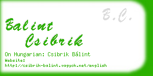 balint csibrik business card
