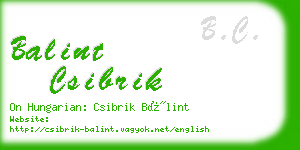 balint csibrik business card